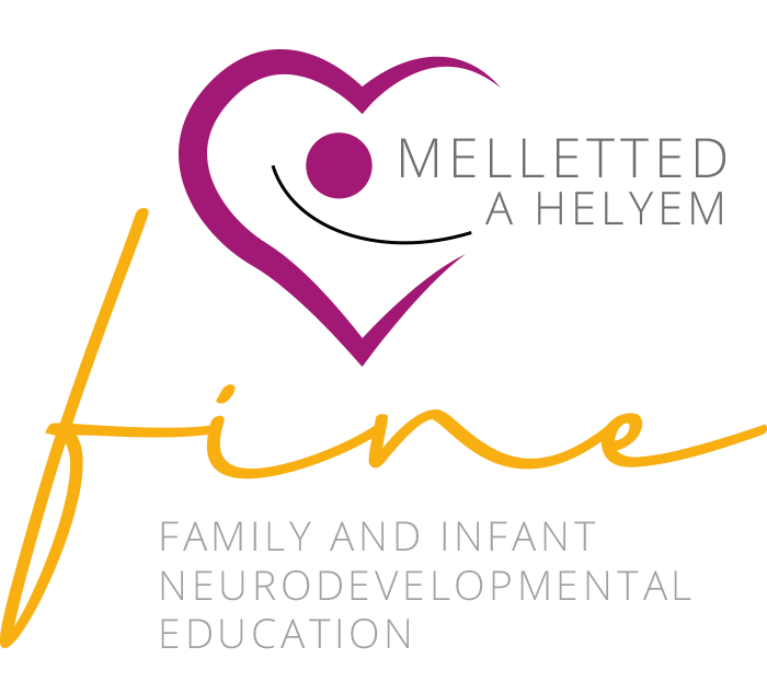 FINE képzés - Családközpontú fejlődéstámogató ellátás képzés