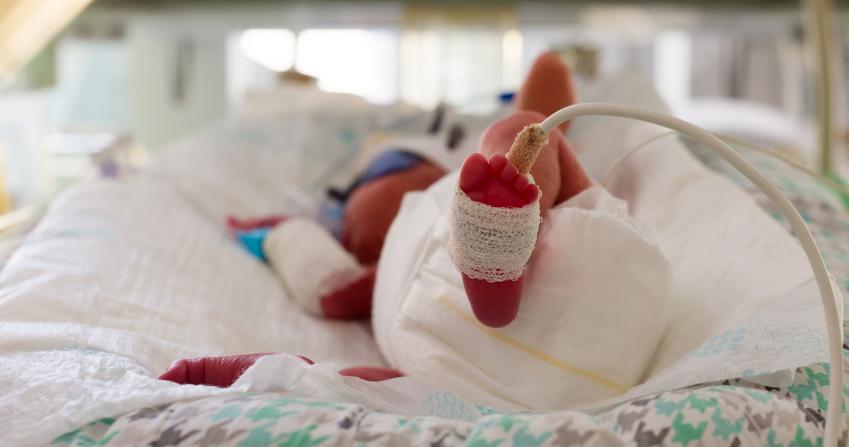 FINE Kecskemét 2019